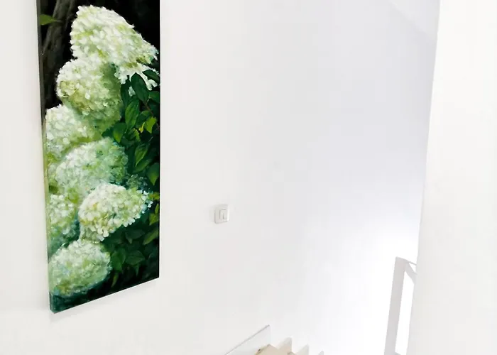 بيت للعطل Sun & 1